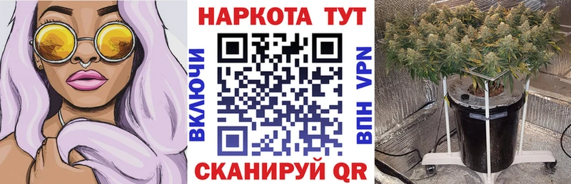Как найти наркотики Гурьевск Амфетамин Псилоцибиновые грибы Вейп ТГК Мефедрон COCAIN СОЛЬ Канабис