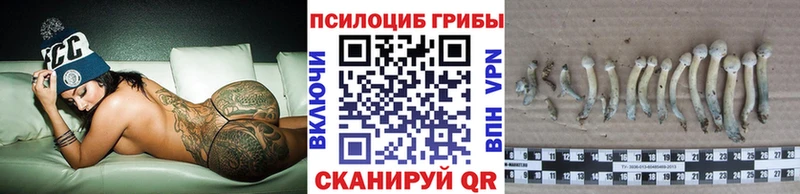 кракен tor где купить наркотик Гурьевск Псилоцибиновые грибы Magic Shrooms