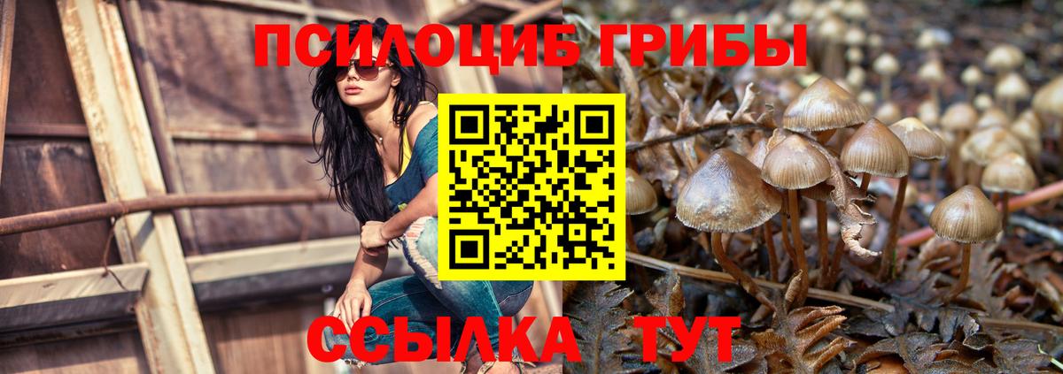 Псилоцибиновые грибы MAGIC MUSHROOMS  Псилоцибиновые грибы Cubensis  Вход с VPN  Гурьевск 