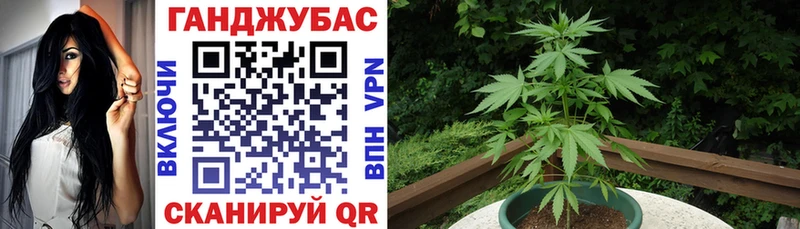 сколько стоит Гурьевск Канабис Ganja